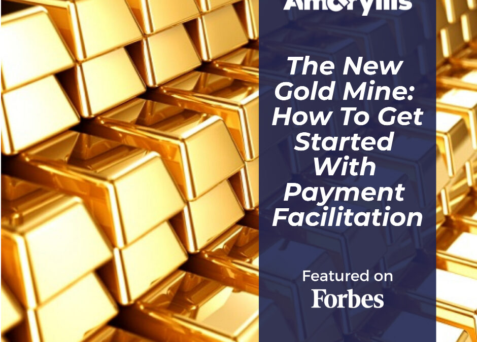 The New Gold Mine: How To Get Started With Payment Facilitation